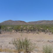 Baja2011 988 : Baja2011